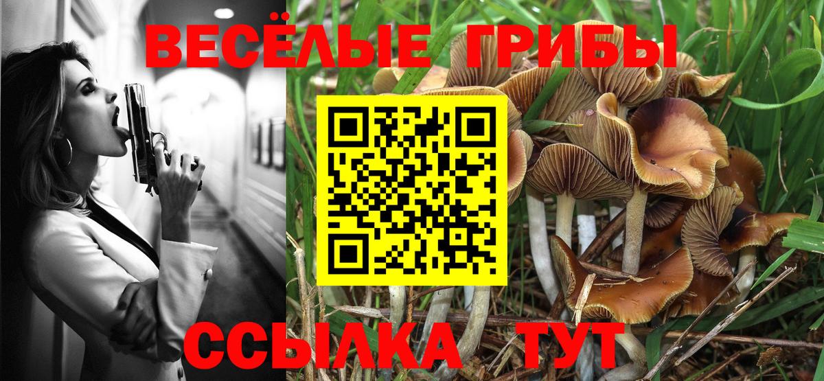Галлюциногенные грибы прущие грибы  Вход с VPN  Псилоцибиновые грибы MAGIC MUSHROOMS  Белебей 